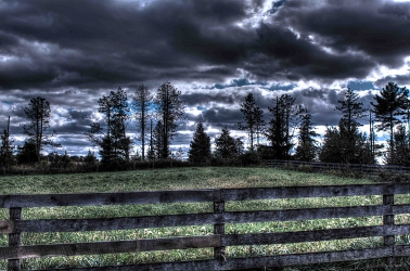 Fenced In